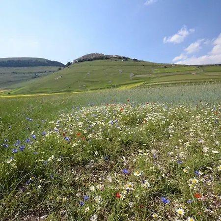 Relax Nella Natura Διαμέρισμα *