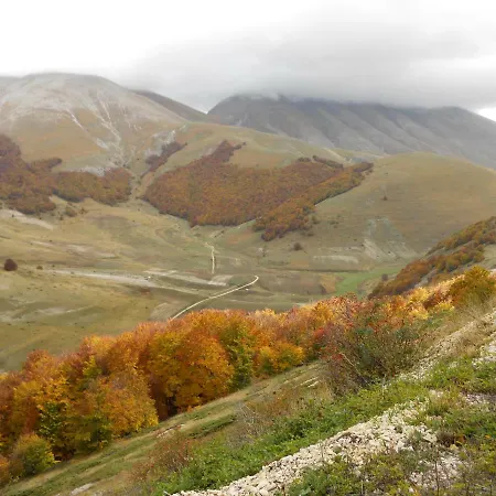 Relax Nella Natura Preci