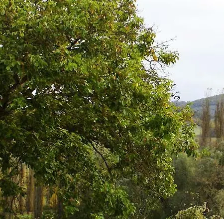 Διαμέρισμα Relax Nella Natura Preci